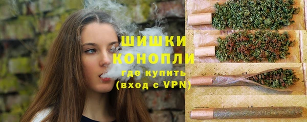 сатива Абинск