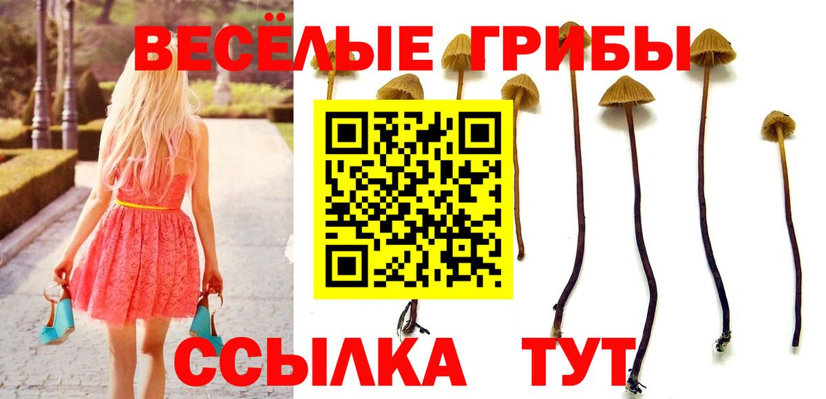 Псилоцибиновые грибы мухоморы Краснодар