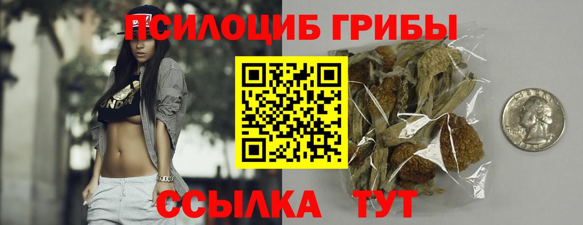Галлюциногенные грибы Magic Shrooms  Галлюциногенные грибы Psilocybine cubensis  Краснодар  Вход с VPN 